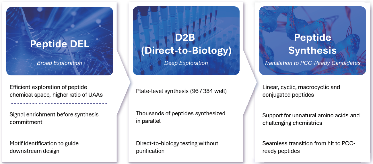 A seamless workflow transforming Peptide DEL hits into PCC-ready candidates.png